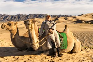Una mujer descansa con camellos en el desierto del Gobi Meridional, Mongolia, 2015 (foto)