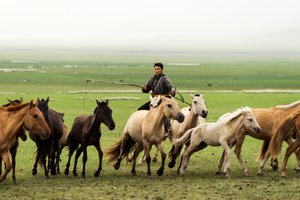Familia local reuniendo a sus caballos en la Reserva Natural de Gun-Galuut de Ira Block