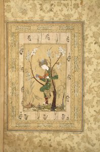 Joven sentado en la horquilla de un árbol floreciente, 1560s de Iranian Master