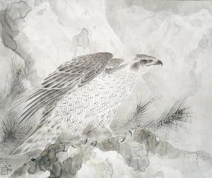 Halcón (Falke) de Irie Hako