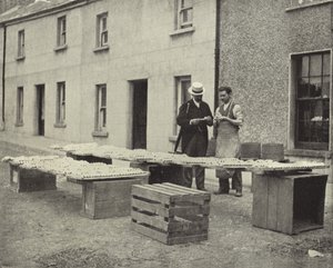 Haciendo pipas de arcilla, Drogheda
