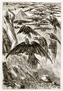 San Patricio y los pájaros demoníacos, de The Trias Thaumaturga, o Tres Santos Milagrosos de Irlanda, por Mary Cusack (1829-99) publicado c.1890s