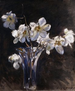 Magnolias in a Vase