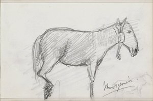 Caballo de Isaac Gosschalk
