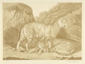 Dos tigres en un paisaje