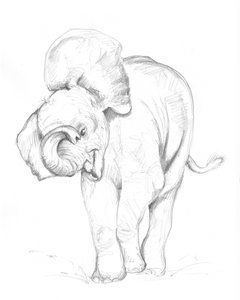 Cría de elefante 02
