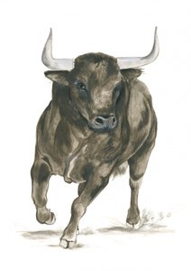Poder de un toro embistiendo