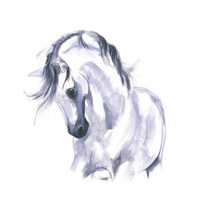 Estudio de caballo en movimiento