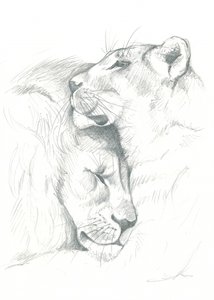 Serenidad del león