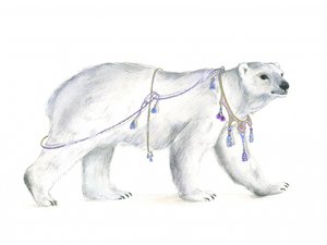 Majestad polar regia