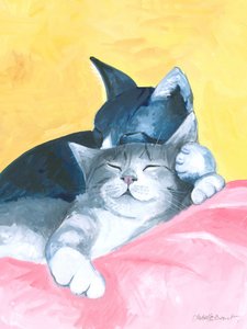 Gatos de siesta abstractos
