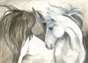 Conexión tierna entre dos caballos