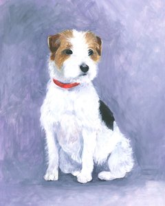 Porte del terrier
