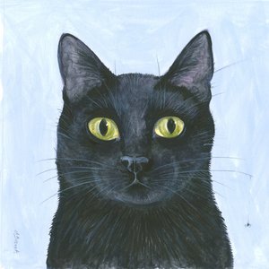 El bigote del gato