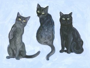 Estudio de tres gatos