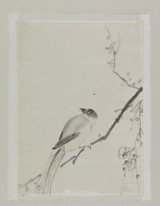 Pájaro en la rama de un cerezo de Ishikawa Kazan