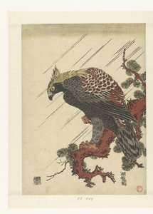 Águila en rama de pino bajo la lluvia de Isoda Koryusai