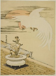 Gallo volando sobre olla de Adonis de Isoda Koryusai