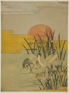 Grullas en un estanque de iris al amanecer de Isoda Koryusai