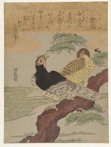 Dondervogels Raicho (título sobre objeto) de Isoda Koryusai