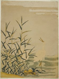 Garzas en los Juncos de Isoda Koryusai