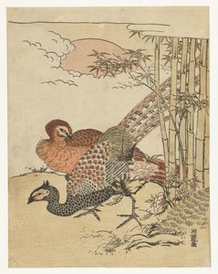 Pareja de faisanes en bambú y sol naciente de Isoda Koryusai