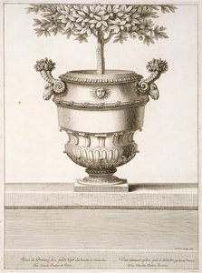 Urnas de bronce usadas para árboles cítricos, ilustración de 