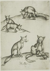 Los cinco zorros de Israhel van Meckenem the younger