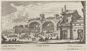 Campo Vacina