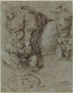 Estudios de un torso masculino de Italian 16th Century