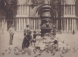 Piccioni de Italian Photographer