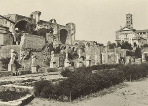 Foro Romano, Basílica de Constantino, Templo de Rómulo y Casa de las Vírgenes Vestales de Italian Photographer