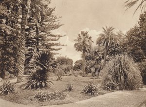 Sicilia / Sicilia: Villa Tasca, Palermo (foto b/n) de Italian Photographer