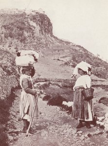 Sicilia: Camino de Mola (foto en blanco y negro) de Italian Photographer