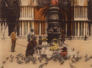 Venecia / Venice: Piccioni (foto en color) de Italian Photographer