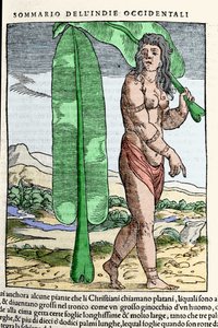 Un nativo de las Indias Occidentales junto a una hoja de tabaco. Grabado del libro 