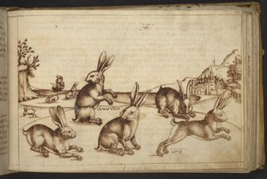 Agregar. 82955, f.165 Conejos (