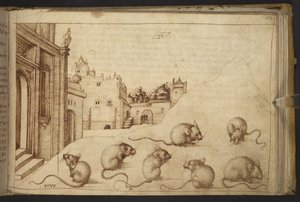 Agregar. 82955, f.192   Ratones (