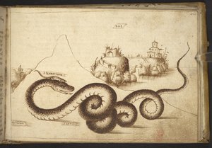 Agregar. 82955, f.242 Una serpiente (