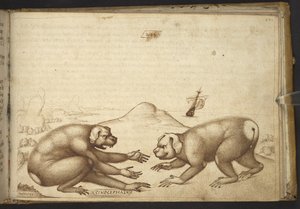 Agregar. 82955, f.244 Peleas de criaturas parecidas a perros (
