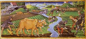 La agricultura a principios del siglo XV. Biblioteca Ricciardiana, Florencia.