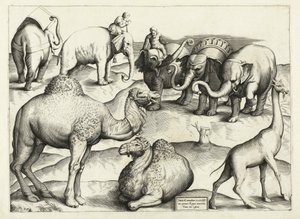 Pinturas de Animales de la Antigua Roma, Tabla, 3., pub. Antonio Lafrere 1528 de Italian School
