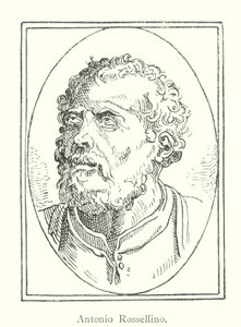 Antonio Rossellino de Italian School