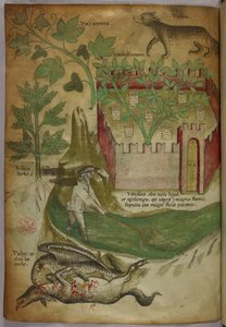 Ilustración botánica y animal de plantas, un jardín amurallado, un lobo, un hombre pescando en un arroyo con una red y un buitre picoteando el cadáver de un animal, c.1440 (tinta y color sobre vitela).