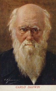 Charles Darwin (1809-1882), naturalista inglés (litografía en color) de Italian School