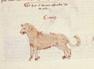 Constelación del perro (Canis). Miniatura de "Astronomica" de Biasino da Parma (Blaise de Parma) (1425-1457)