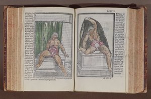 Anatomía femenina, de Commentaria cum amplissimis additionibus super anatomiam mundini, por Jacopo Berengario da Carpi (c.1460-c.1530) publicado en Bolonia, 1521