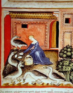 Crianza de gansos, ilustración de Tacuinum Sanitatis Codex Vindobonensis