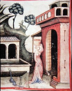 Fol.88v Agua de manantial, ilustración de 