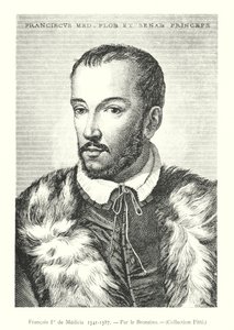 Francisco I de Medicis de Italian School